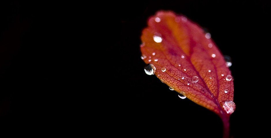 046