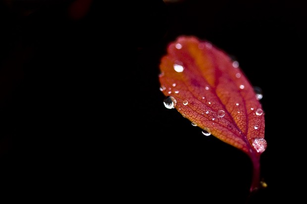 046