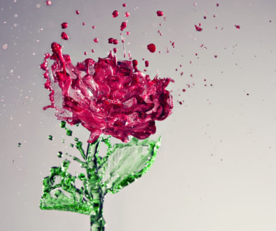 A Splash of Rose eftir Anthony Chang